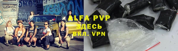 спиды Абаза